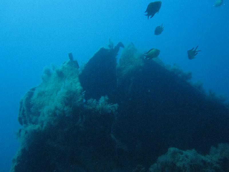 IMG_2289.JPG